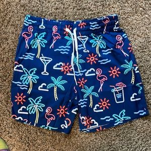 New chubbies swim shorts